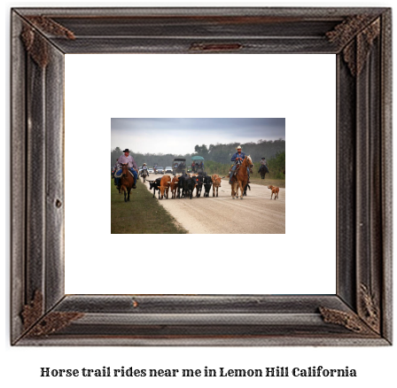 horse trail rides near me in Lemon Hill, California